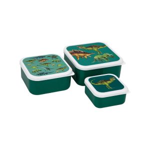 Lunch Box Set Dinosaur