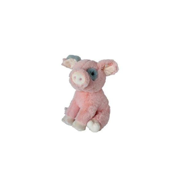 Re-PETs M Pig