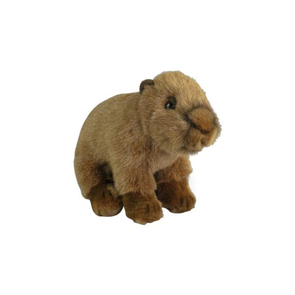 Plan M Capybara