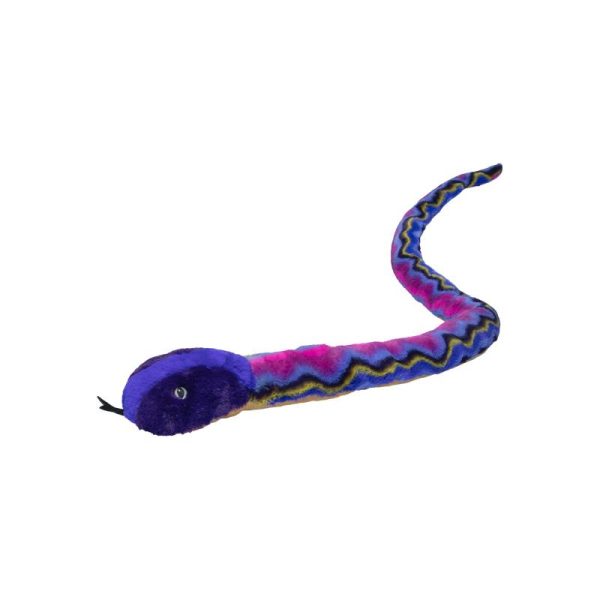 Re-PETs Snake South Florida Rainbow Snake
