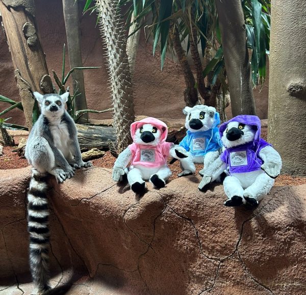 Tropikariets Lemur Hoodie