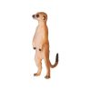 World Wonders S Meerkat - Image 2