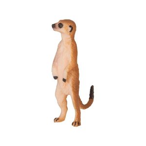 World Wonders S Meerkat