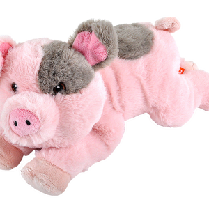 Ecokins Pig