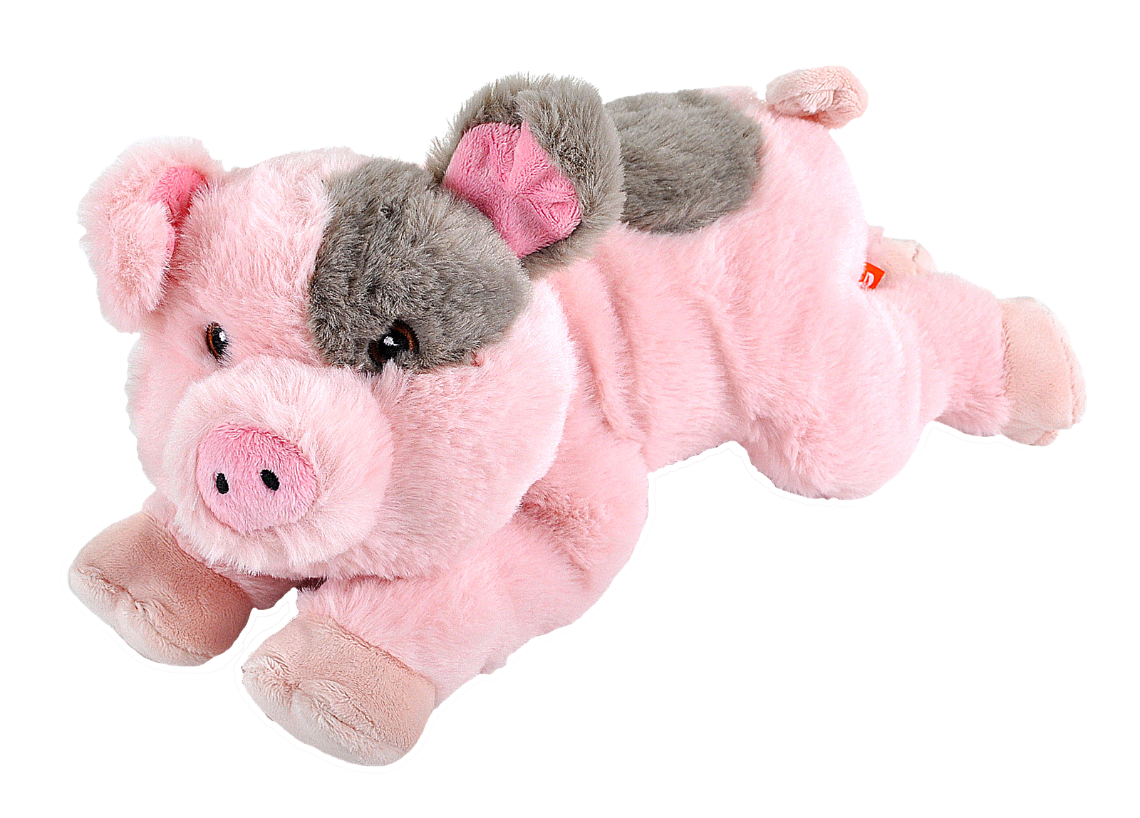 Ecokins Pig