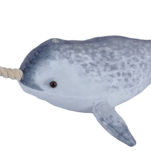Living Ocean Narwhal