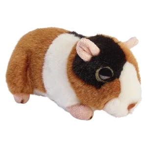 Glitter Eyes Guinea Pig
