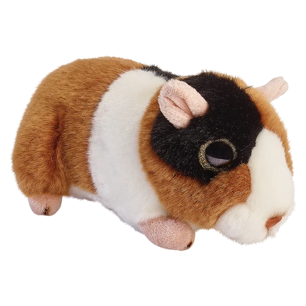 Glitter Eyes Guinea Pig